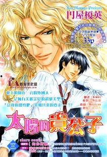 太阳的贵公子漫画,闪耀青春的贵族传奇